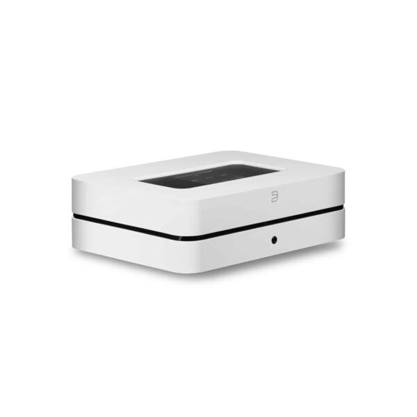 Bluesound Powernode 2i