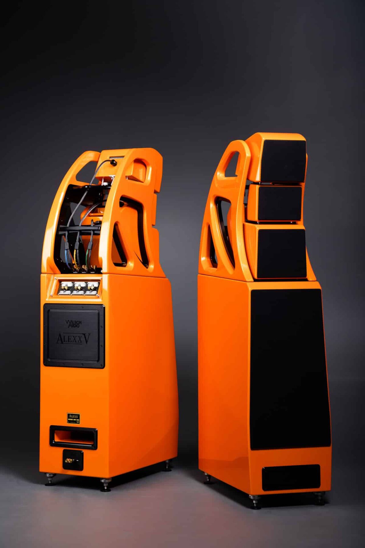 Wilson Audio Alexx V – Image 3