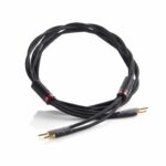 Shunyata Research Delta v2 SP