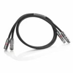 Shunyata Research Delta v2 XLR