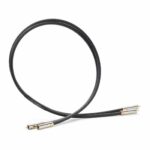 Shunyata Research Gamma RCA